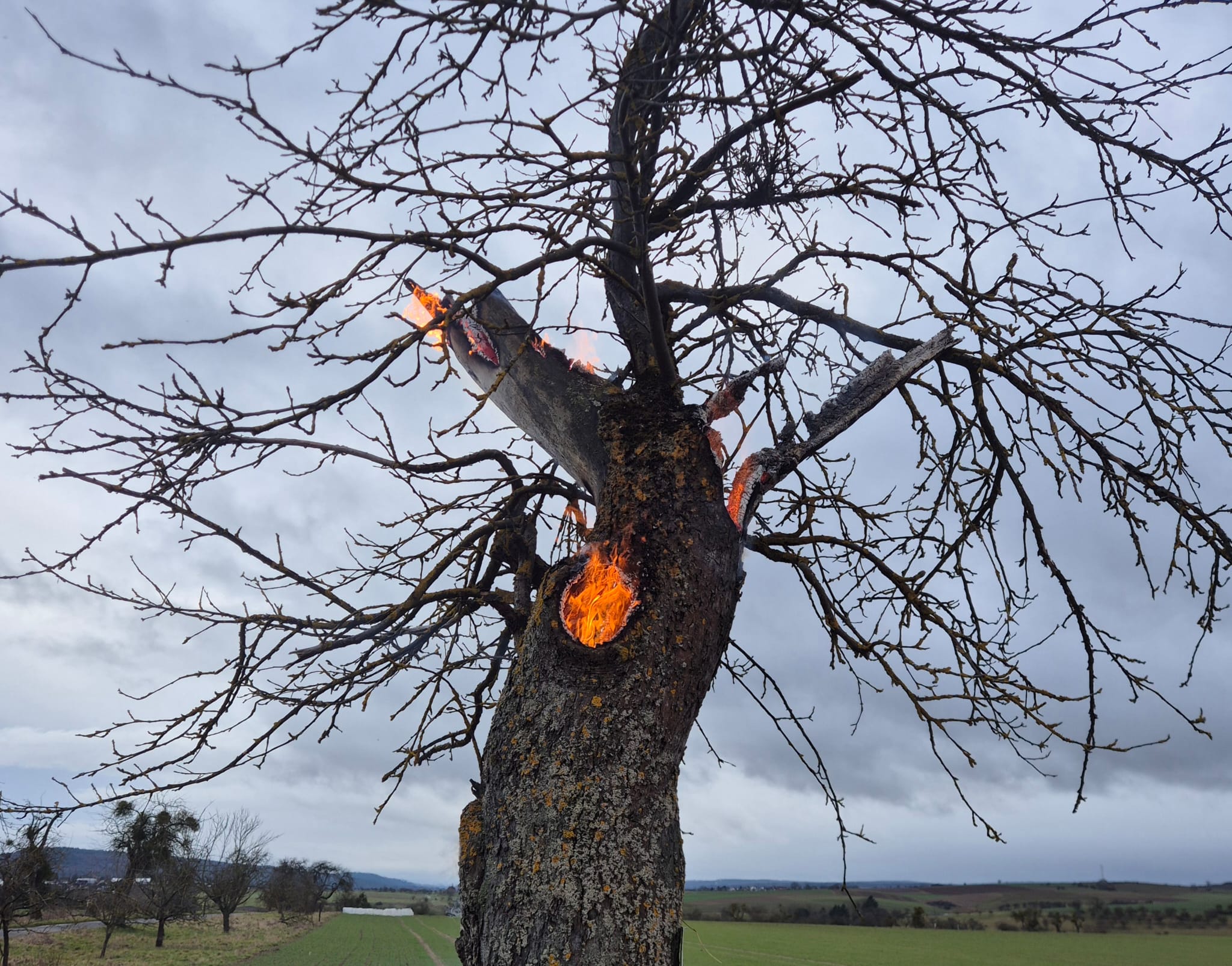 WhatsApp Image 2026-02-16 at 22.14.59